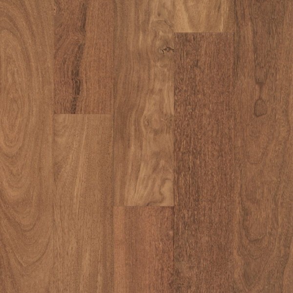 Cordillera 3 1/4 Inch Brazilian Chestnut